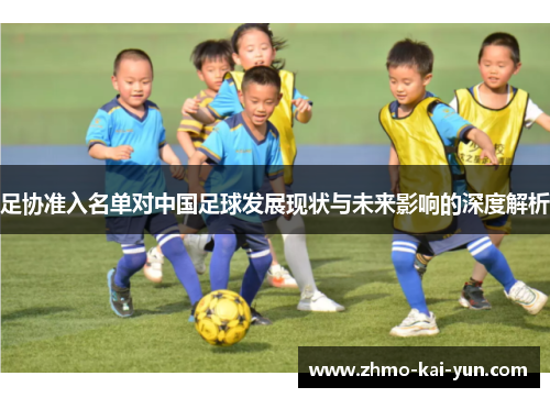 足协准入名单对中国足球发展现状与未来影响的深度解析