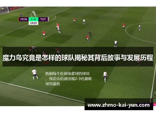 魔力鸟究竟是怎样的球队揭秘其背后故事与发展历程